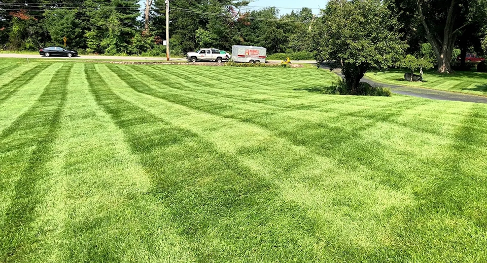 Fertilization & Weed Control Services
