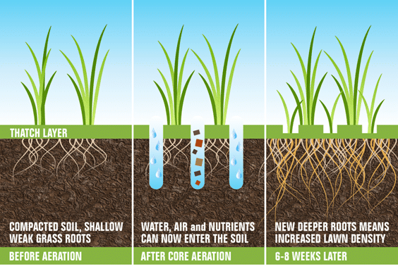 aeration-in-wimington-ma.png
