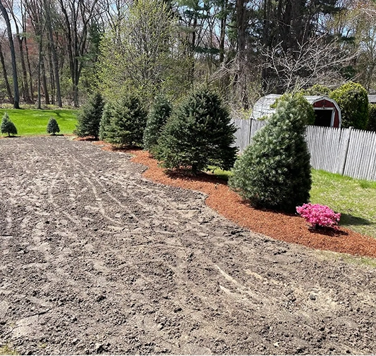 lawn renovation