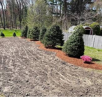 lawn renovation